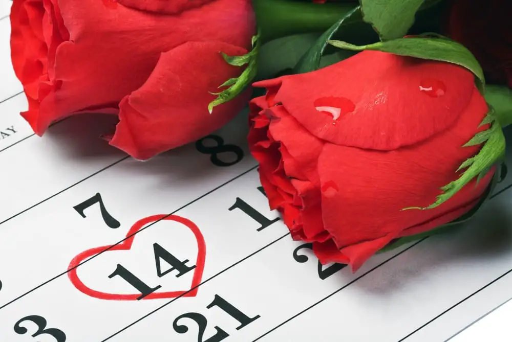 roses lay on the calendar with the date of February 14 Valentine