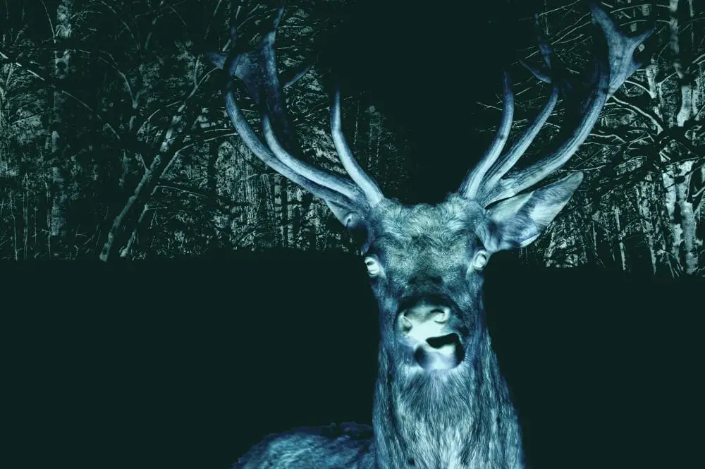 evildeer