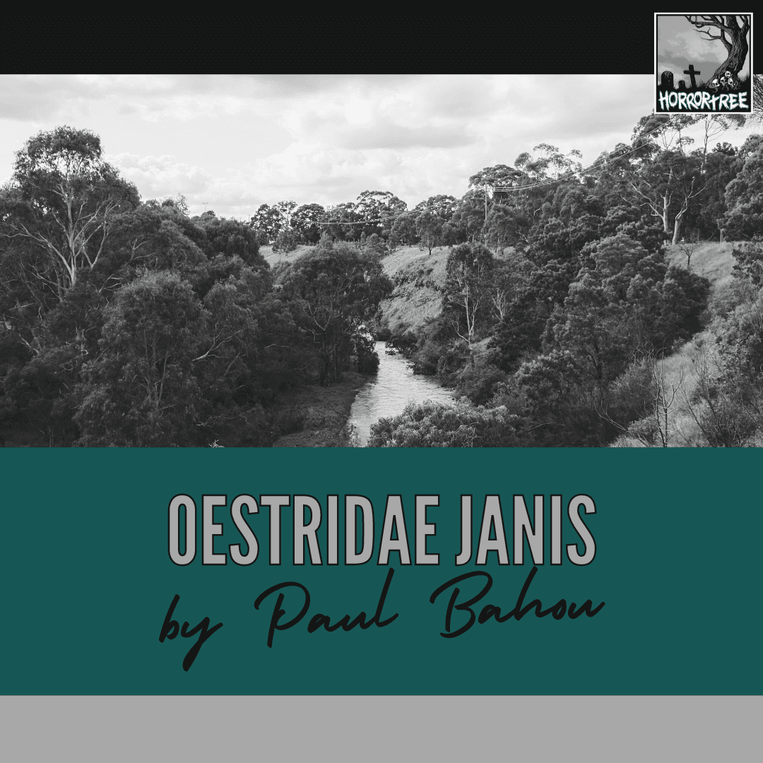 Sunday Afternoon Read: Oestridae Janis