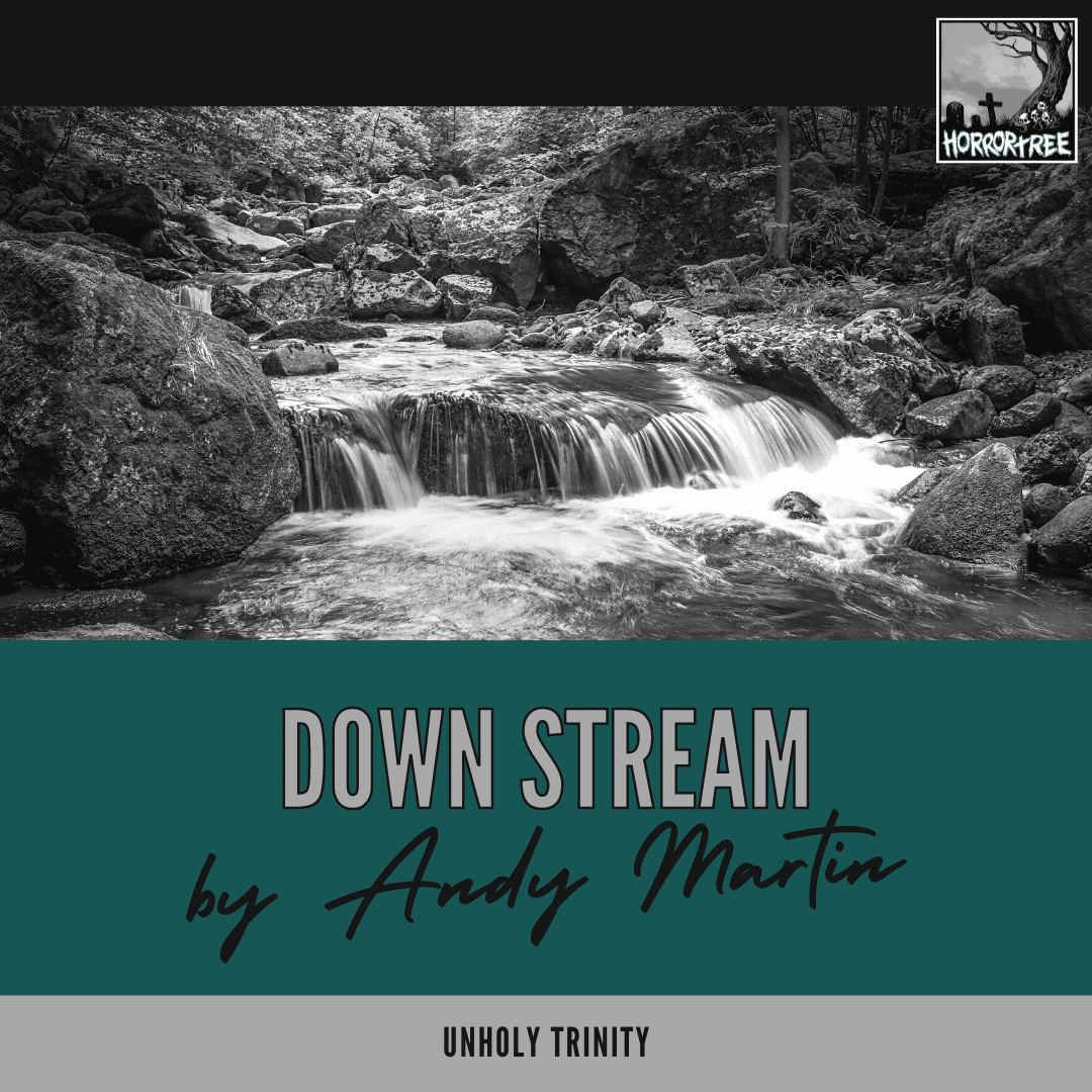 Unholy Trinity: Down Stream by Andy Martin