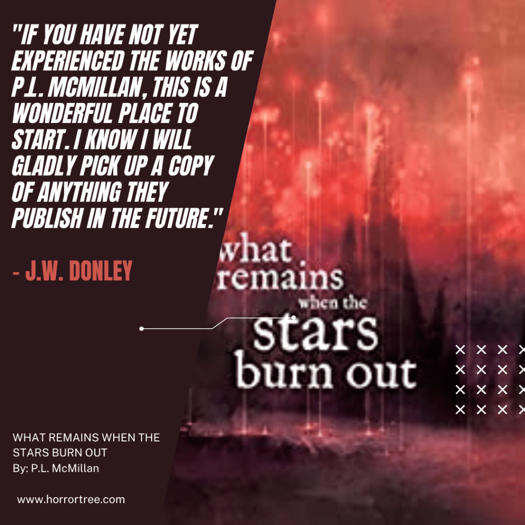 Epeolatry Book Review What Remains When The Stars Burn Out By P.L 