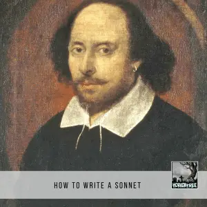 How To Write A Sonnet - The Horror Tree