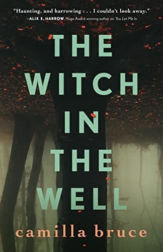 thewitchinthewell